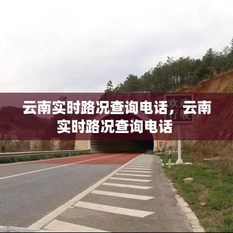 技術(shù)支持 第216頁