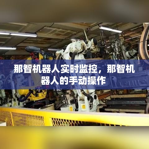 那智機(jī)器人實(shí)時(shí)監(jiān)控，那智機(jī)器人的手動(dòng)操作 