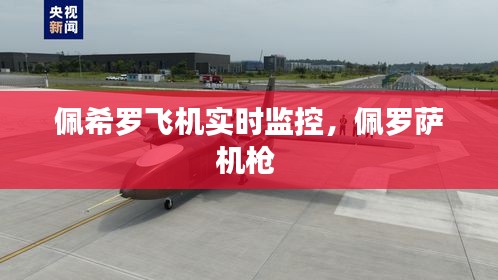 佩希羅飛機(jī)實(shí)時(shí)監(jiān)控，佩羅薩機(jī)槍 
