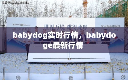 babydog實時行情，babydoge最新行情 
