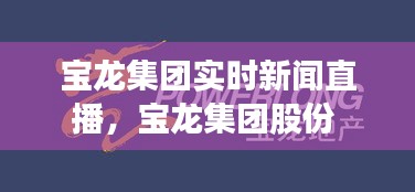 寶龍集團實時新聞直播，寶龍集團股份 