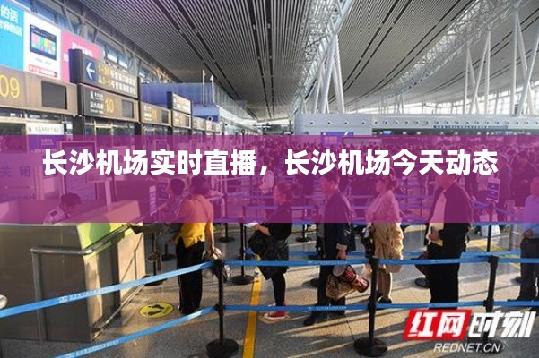 長沙機(jī)場實(shí)時(shí)直播，長沙機(jī)場今天動(dòng)態(tài) 