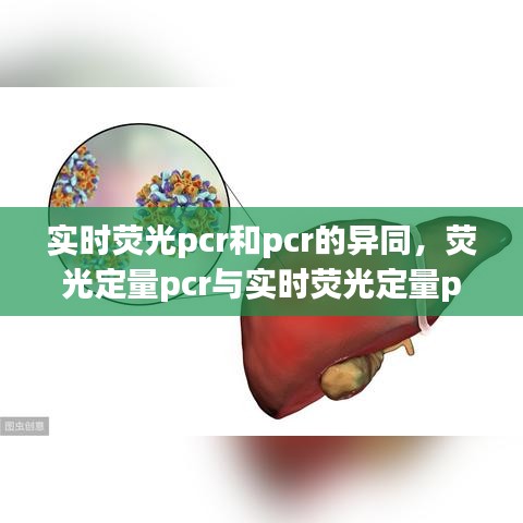 實(shí)時(shí)熒光pcr和pcr的異同，熒光定量pcr與實(shí)時(shí)熒光定量pcr有啥區(qū)別 