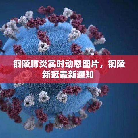 衣不兼彩 第3頁