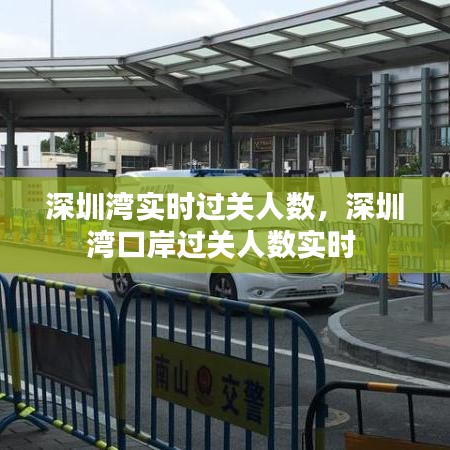 深圳灣實(shí)時過關(guān)人數(shù)，深圳灣口岸過關(guān)人數(shù)實(shí)時 