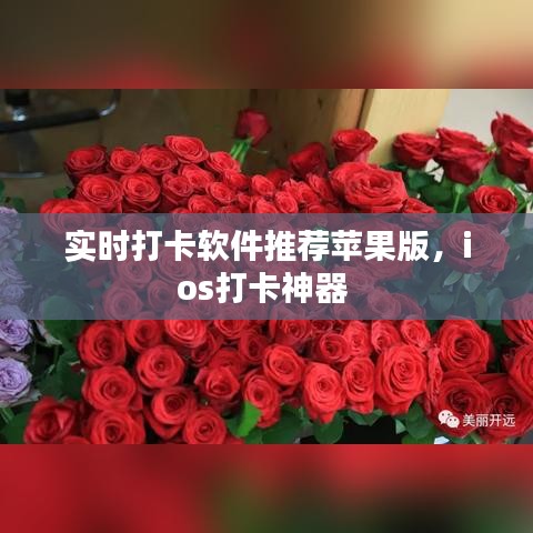 實時打卡軟件推薦蘋果版，ios打卡神器 