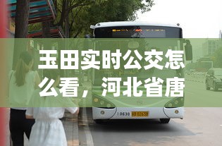 玉田實時公交怎么看，河北省唐山市玉田縣公交車 