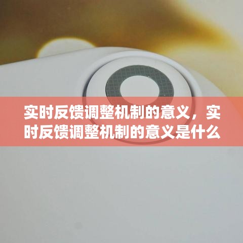 實(shí)時(shí)反饋調(diào)整機(jī)制的意義，實(shí)時(shí)反饋調(diào)整機(jī)制的意義是什么 