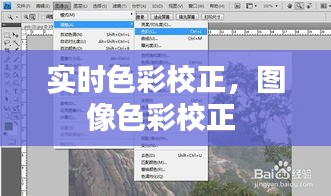 實時色彩校正，圖像色彩校正 