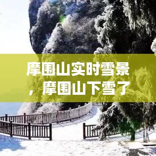 摩圍山實時雪景，摩圍山下雪了嗎2020 