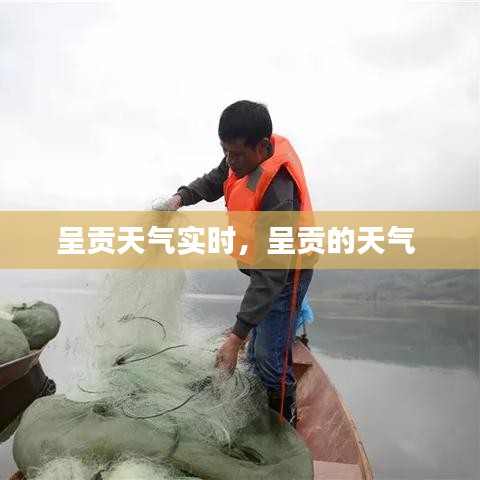 呈貢天氣實(shí)時(shí)，呈貢的天氣 