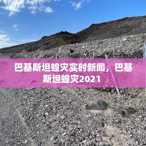 巴基斯坦蝗災實時新聞，巴基斯坦蝗災2021 