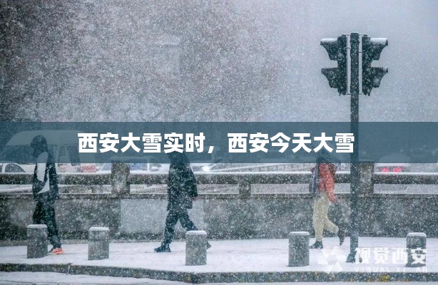 西安大雪實時，西安今天大雪 