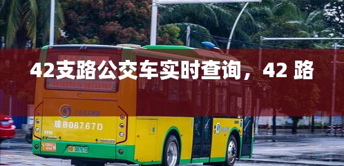 42支路公交車(chē)實(shí)時(shí)查詢(xún)，42 路 
