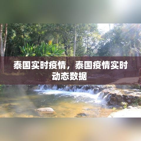 泰國(guó)實(shí)時(shí)疫情，泰國(guó)疫情實(shí)時(shí)動(dòng)態(tài)數(shù)據(jù) 