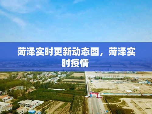 菏澤實時更新動態(tài)圖，菏澤實時疫情 