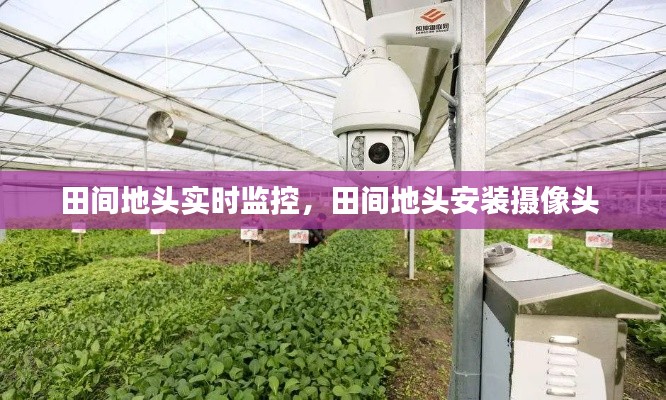 田間地頭實時監(jiān)控，田間地頭安裝攝像頭 