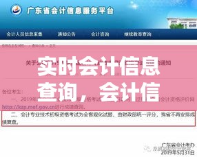 實時會計信息查詢，會計信息服務(wù)平臺 