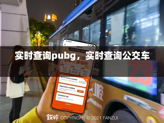 實(shí)時(shí)查詢pubg，實(shí)時(shí)查詢公交車(chē) 