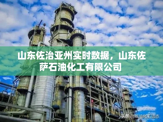 山東佐治亞州實時數(shù)據(jù)，山東佐薩石油化工有限公司 