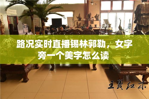 路況實(shí)時(shí)直播錫林郭勒，女字旁一個(gè)美字怎么讀 