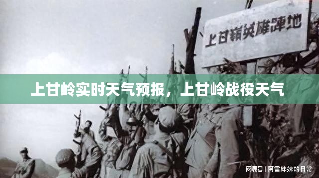 物以希為貴 第3頁(yè)