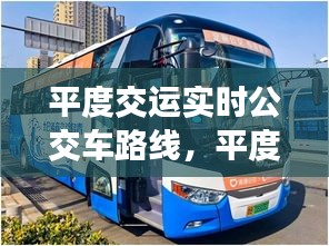 平度交運(yùn)實(shí)時(shí)公交車路線，平度公交路線圖 