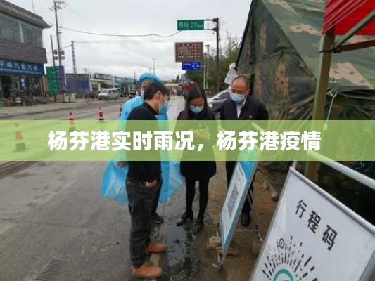 楊芬港實(shí)時(shí)雨況，楊芬港疫情 