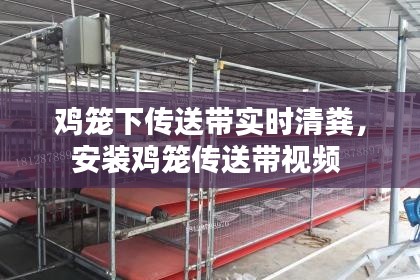 雞籠下傳送帶實(shí)時(shí)清糞，安裝雞籠傳送帶視頻 