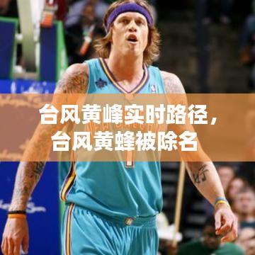 臺風黃峰實時路徑，臺風黃蜂被除名 