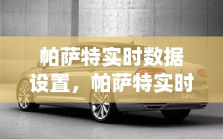 帕薩特實時數(shù)據(jù)設(shè)置，帕薩特實時數(shù)據(jù)設(shè)置方法 