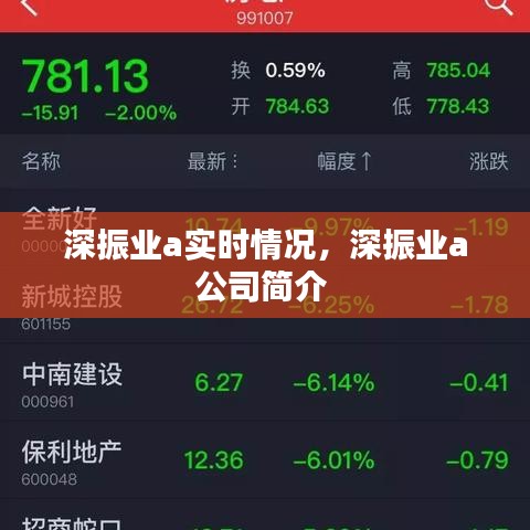 深振業(yè)a實(shí)時(shí)情況，深振業(yè)a公司簡(jiǎn)介 