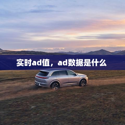 實時ad值，ad數(shù)據(jù)是什么 