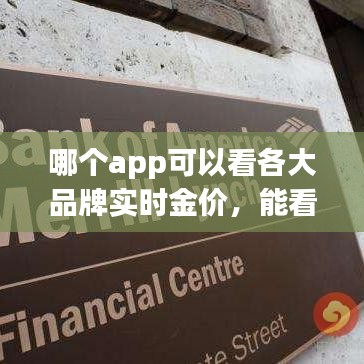 哪個(gè)app可以看各大品牌實(shí)時(shí)金價(jià)，能看金價(jià)的app 