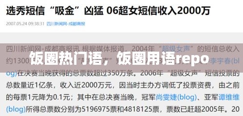 飯圈熱門語，飯圈用語repo 