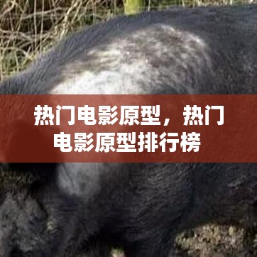 熱門(mén)電影原型，熱門(mén)電影原型排行榜 