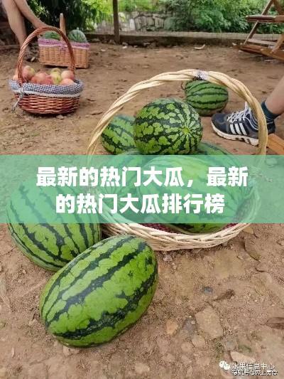 最新的熱門大瓜，最新的熱門大瓜排行榜 