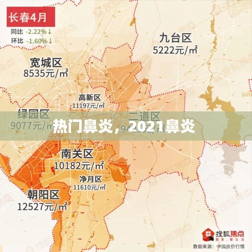 熱門鼻炎，2021鼻炎 