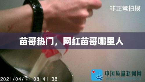 苗哥熱門(mén)，網(wǎng)紅苗哥哪里人 
