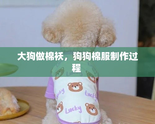 大狗做棉襖，狗狗棉服制作過程 