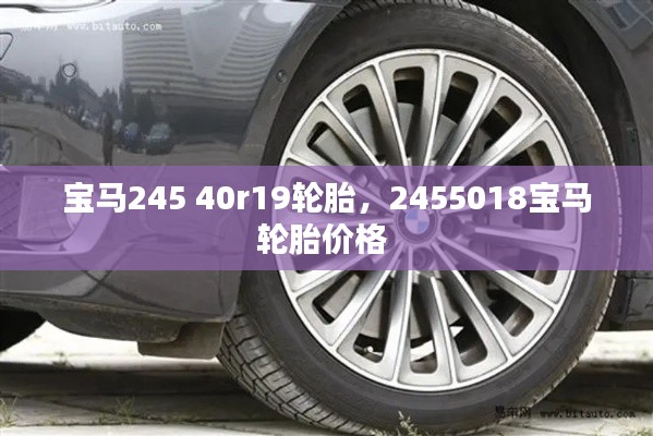 寶馬245 40r19輪胎，2455018寶馬輪胎價(jià)格 