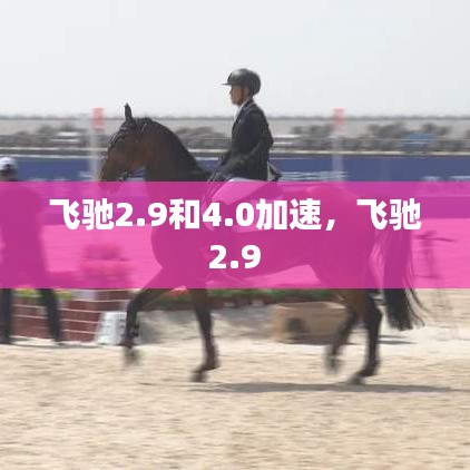 飛馳2.9和4.0加速，飛馳 2.9 