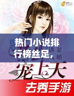熱門小說排行榜絲足， 