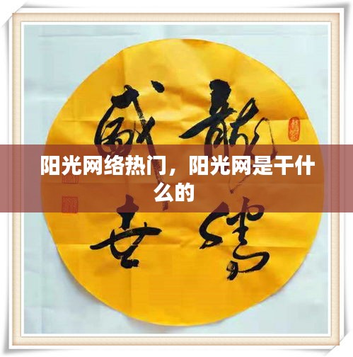 陽光網(wǎng)絡(luò)熱門，陽光網(wǎng)是干什么的 