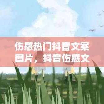 傷感熱門抖音文案圖片，抖音傷感文案大全,抖音爆火文案 