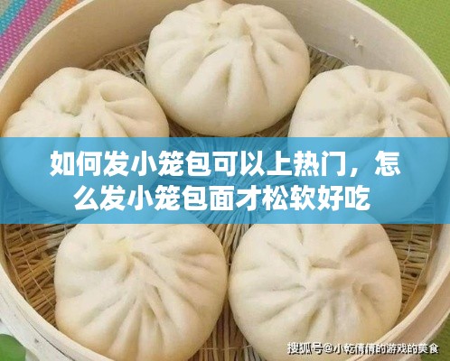 如何發(fā)小籠包可以上熱門，怎么發(fā)小籠包面才松軟好吃 