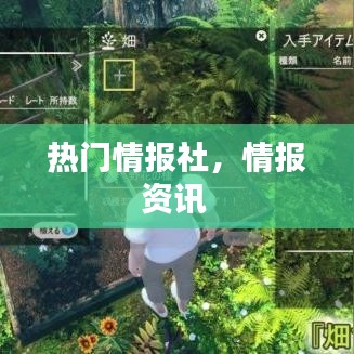 熱門情報社，情報資訊 