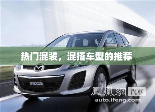 熱門混裝，混搭車型的推薦 