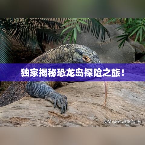 雍容雅步 第2頁(yè)