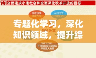 專題化學(xué)習(xí)，深化知識領(lǐng)域，提升綜合素質(zhì)，打造全方位人才